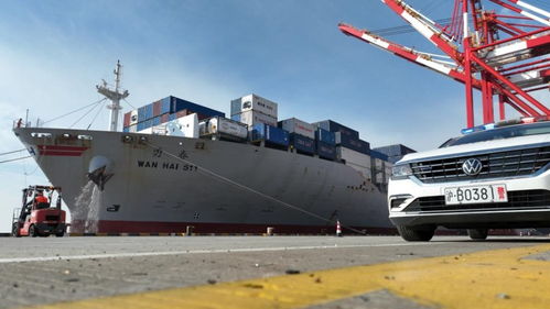 春節(jié)臨近，上海邊檢助力民生物資快速抵滬，保障國際船舶管理業(yè)務(wù)高效運轉(zhuǎn)