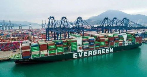 美團(tuán)進(jìn)軍公路貨運市場，快遞企業(yè)雙十一戰(zhàn)報亮眼